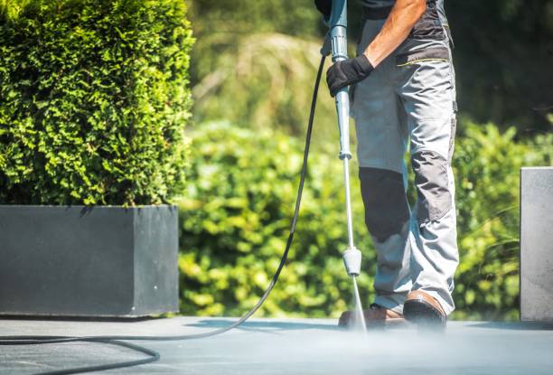 Best Solar Panel Cleaning  in Lexington Park, MD