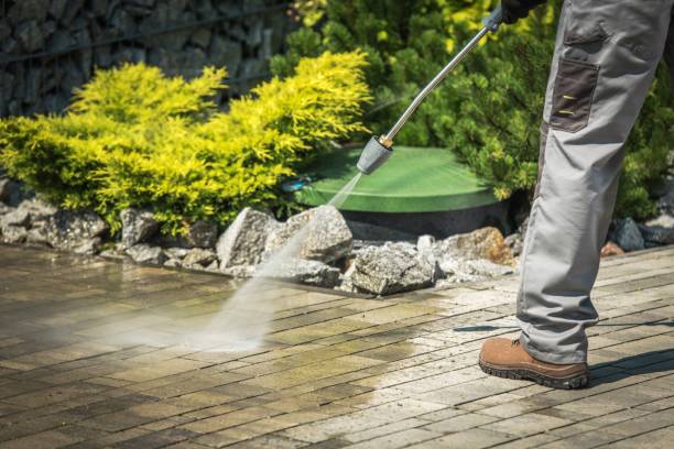Best Animal Enclosure Cleaning  in Lexington Park, MD
